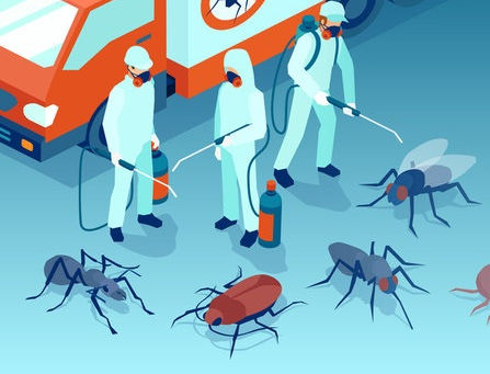 Les meilleures méthodes de lutte contre les nuisibles