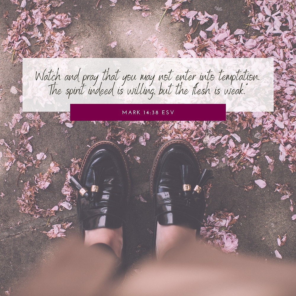 Mark 14:38 ESV Bible verse