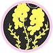 Copy of Vineyard (1).png