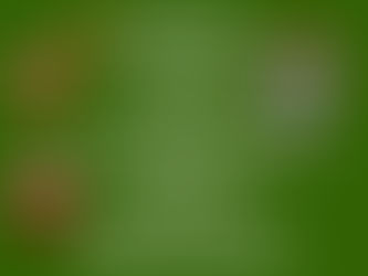 CDDC Holiday Feast-December 10, 2022