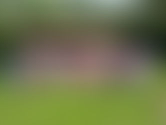 July 22, 2023 Deaf, Hard of Hearing and hearing Community Picnic Saratoga Spa State Park !