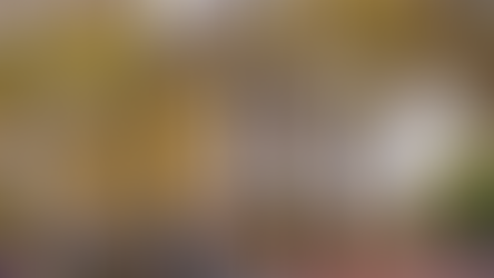 OLD PINE ST: Church of the Patriots