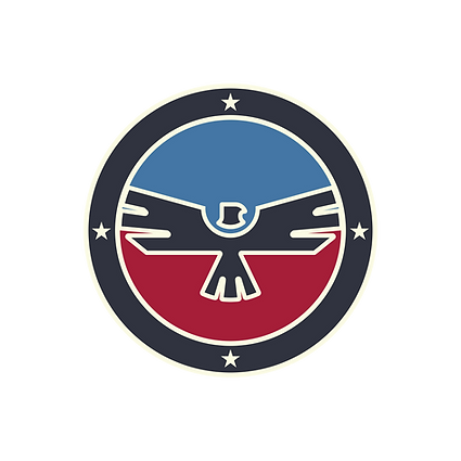 Washington Union Party official logo – advocating third-party government reform and political change.