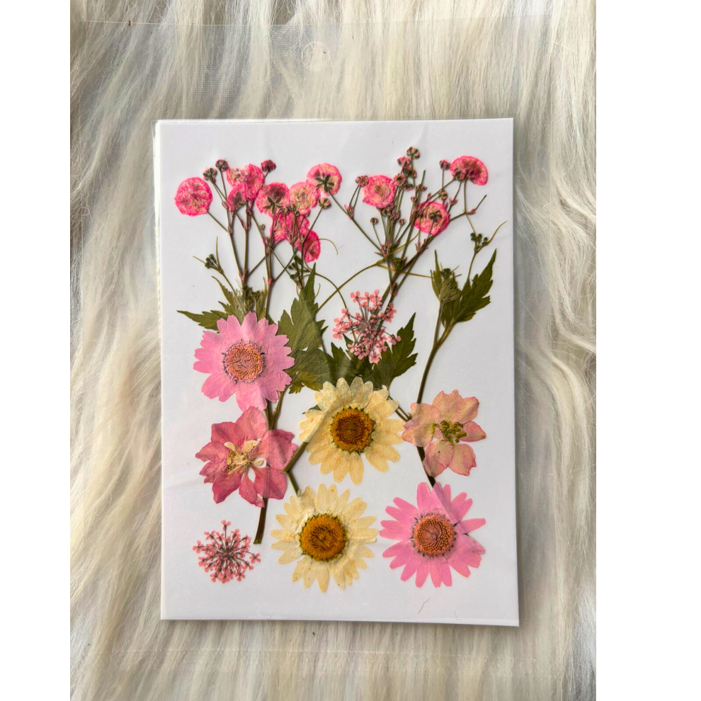 Mixed Pressed Flowers for Resin Art (12pc)