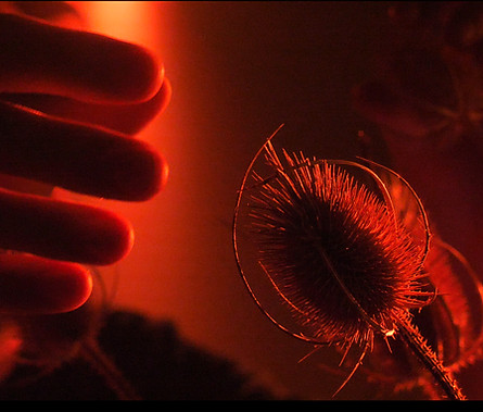 Capture d’écran 2025-10-28 à 15.15_edite