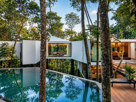Floating Between Canopy and Sky, Casa Acucena in Brazil’s Atlantic Forest