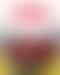 3. místo z polského Imielinu