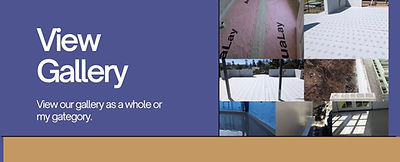 Our Gallery