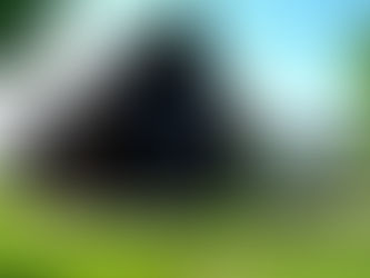 The beautiful Homestead Barn will be the location for the annual meeting.