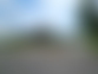 XX. Board's Failure Causes Tree Travesty