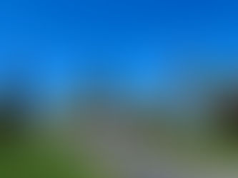 VI. Neighbors, Committee Member Speak Up