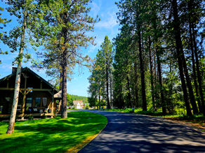 XIV. Their Agenda is Not Ours