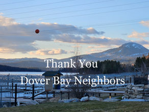 XVIII. Thank You & What Now?