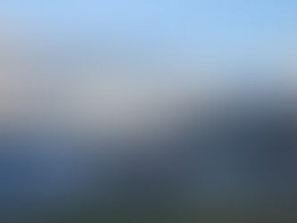 XVIII. Thank You & What Now?