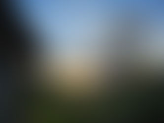 VII. Here's a question