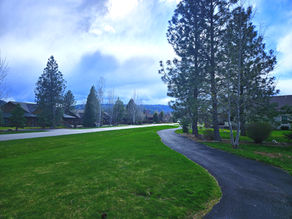 XIX. Secrecy Shrouds Board's Proposed CC&Rs