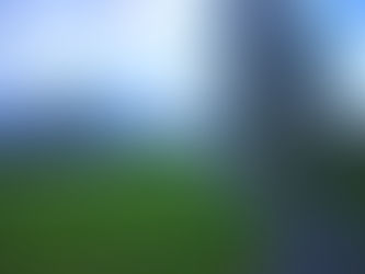 XIX. Secrecy Shrouds Board's Proposed CC&Rs