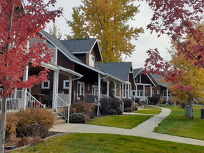 XII. Neighbors are relying on you