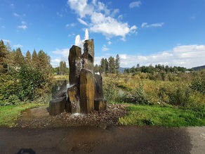 VIII. Board Discredits Committee Member Solutions