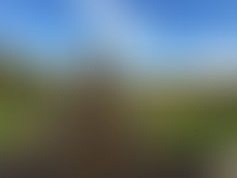 VIII. Board Discredits Committee Member Solutions