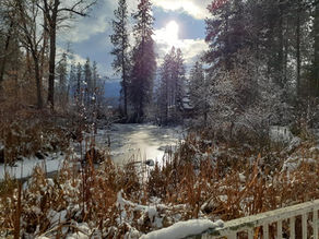 III. Community concerns sent to board, again