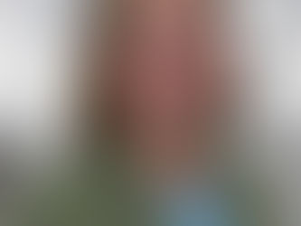 XIII. Experience Worth Voting For