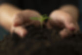 AdobeStock_211947572.jpeg