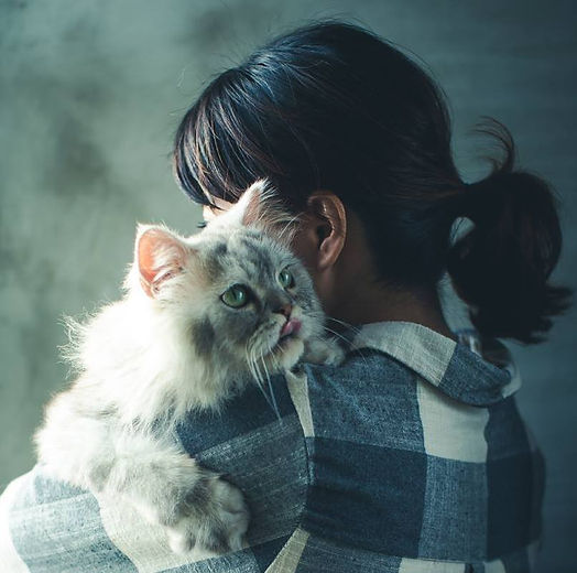 10325751_10153343072926175_6225903548429