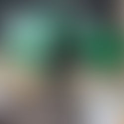 Esperanto en Rosario / El Esperanto en Rosario.