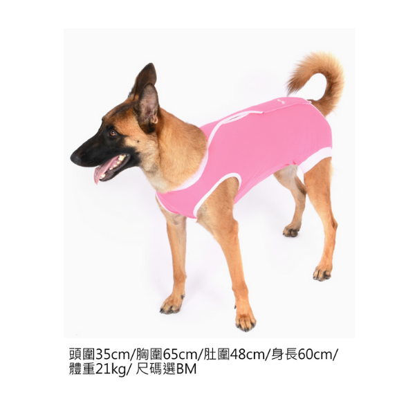 術後服elizabeth Wear My Site 術後服elizabeth Wear My Site