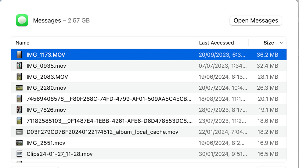 Large attachments are shown when drilling into Messages