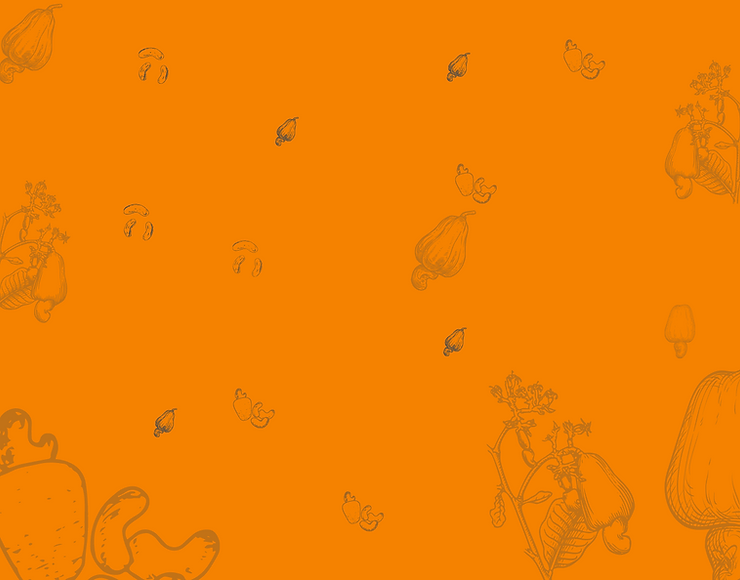 Website Background.png