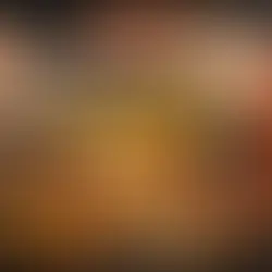 Dry Fruits and Nuts for Workout: The Smart Way to Boost Energy, Strength, and Recovery