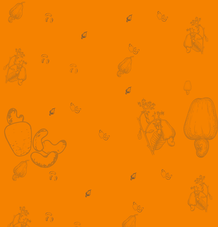 Website Long Background