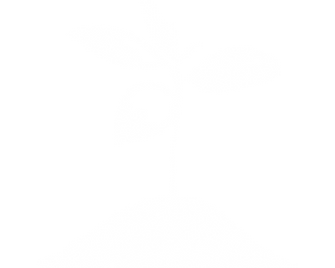 Design sem nome (11).png