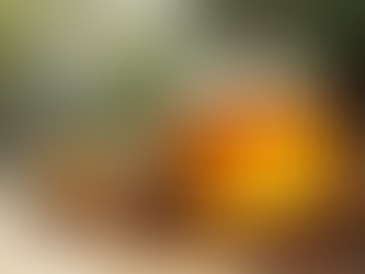 Transform Your Wellness Routine with Lion's Mane and Wildflower Honey