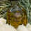 Thumbnail: Lion's Mane Mushroom Oil 606g