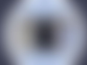 Our Gourmet Mushroom Grow kits