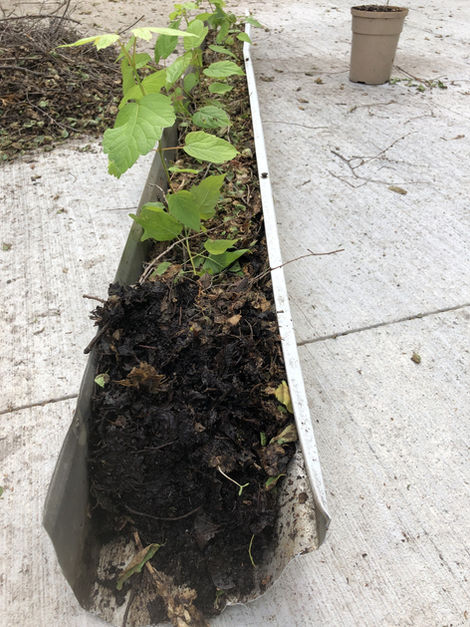 Trough Clean out and Install