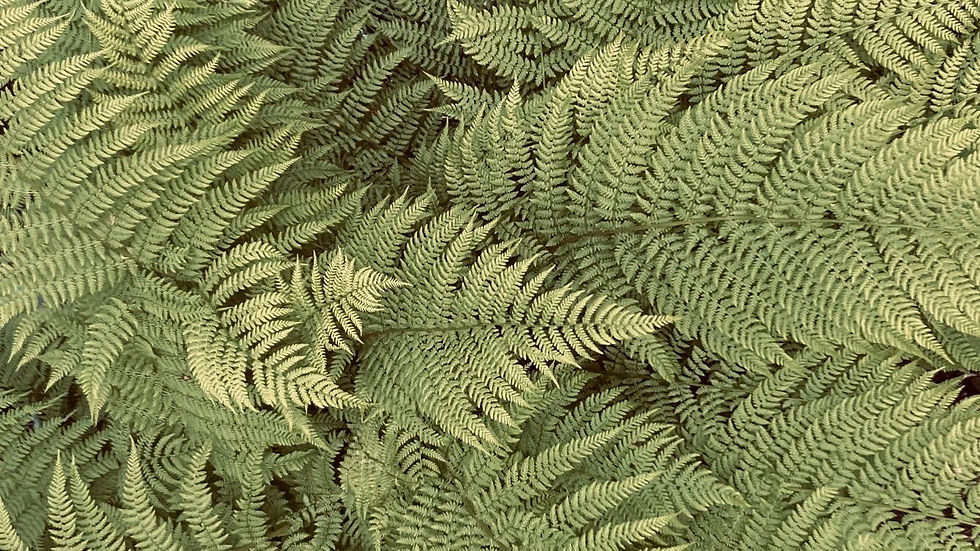 PHOTO-2025-09-29-16-05-47 3.jpg