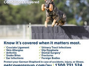  Petcover and WGSDCA: Pet Insurance for your peace of mind
