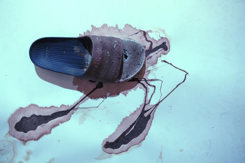 Lith echoraum schaab & tomasi