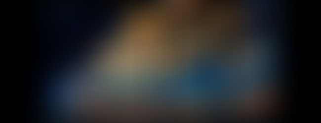 Cynthia Miller at SOFA 2015, Chicago