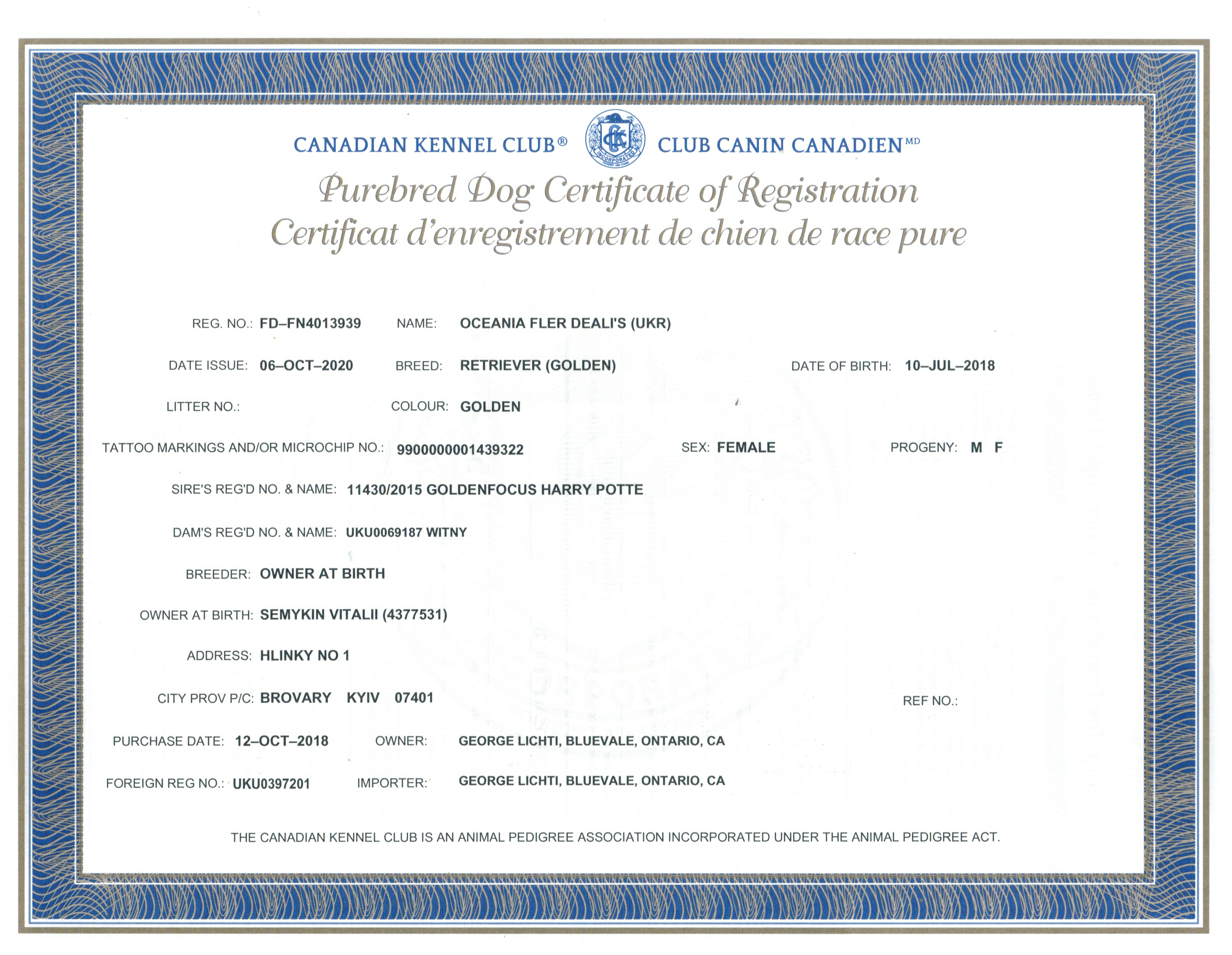 Canadian Kennel Club registration for dog owned  by Golden Country Tails kennel Alberta