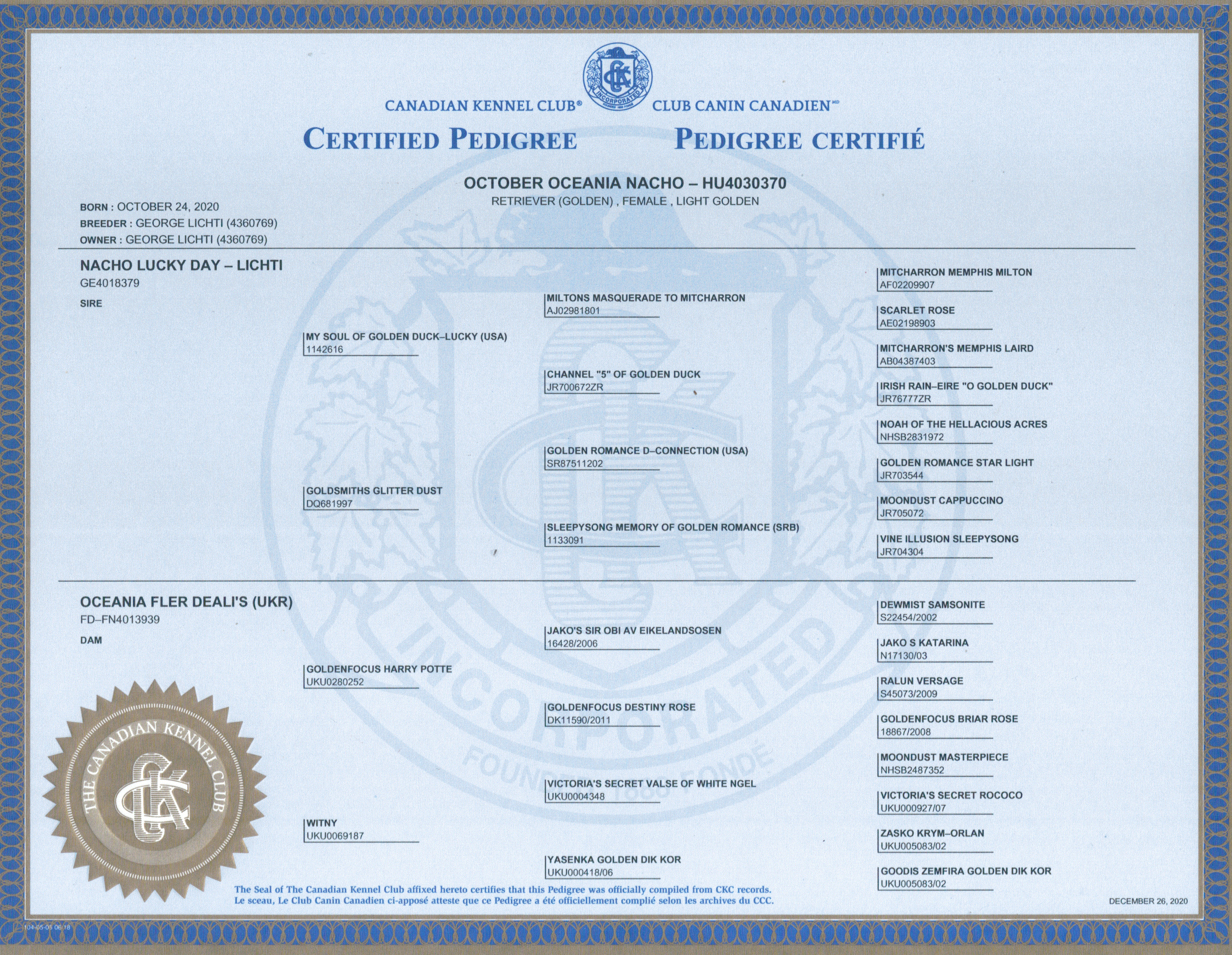 Canadian Kennel Club registration for dog owned  by Golden Country Tails kennel Alberta