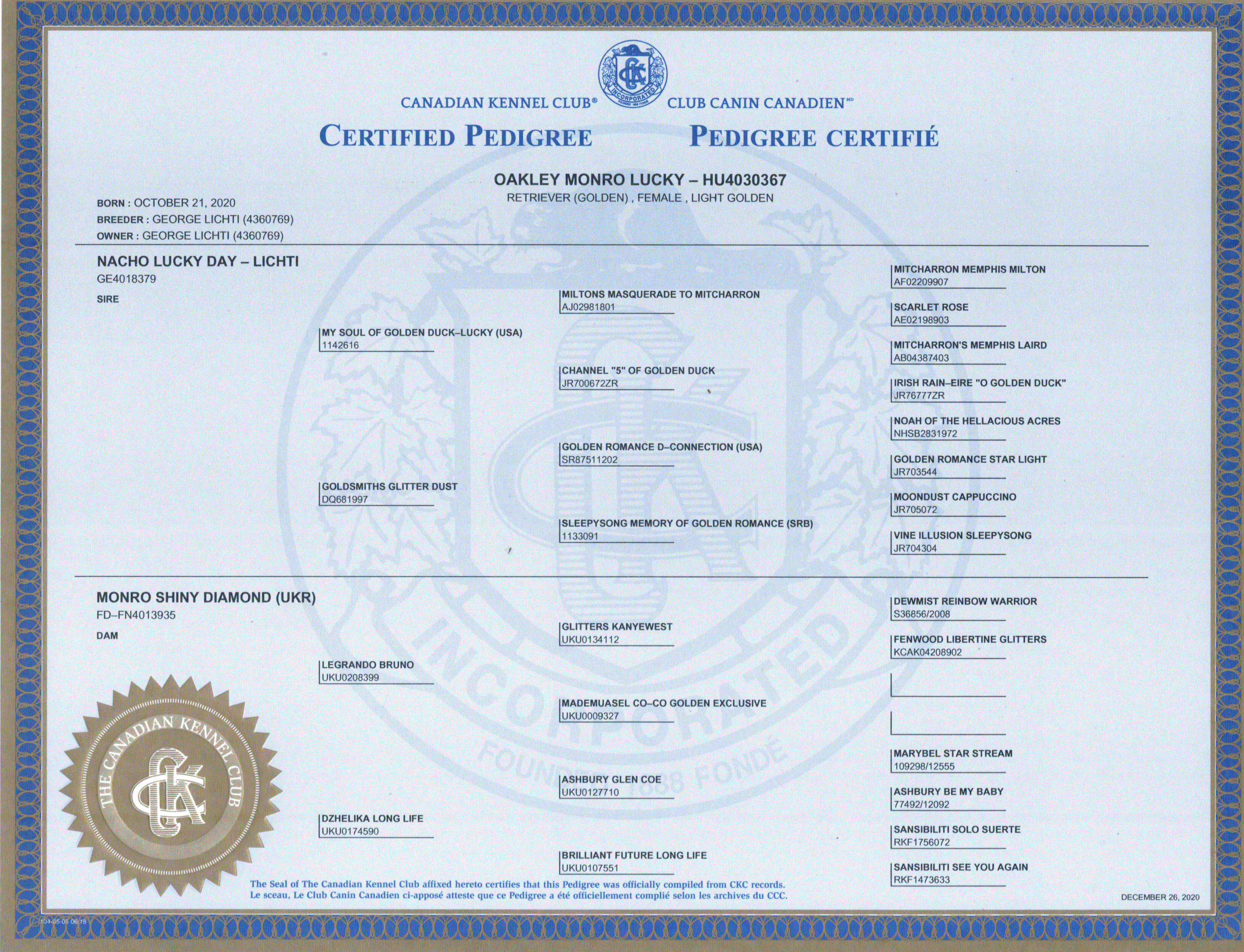 Canadian Kennel Club registration for dog owned  by Golden Country Tails kennel Alberta