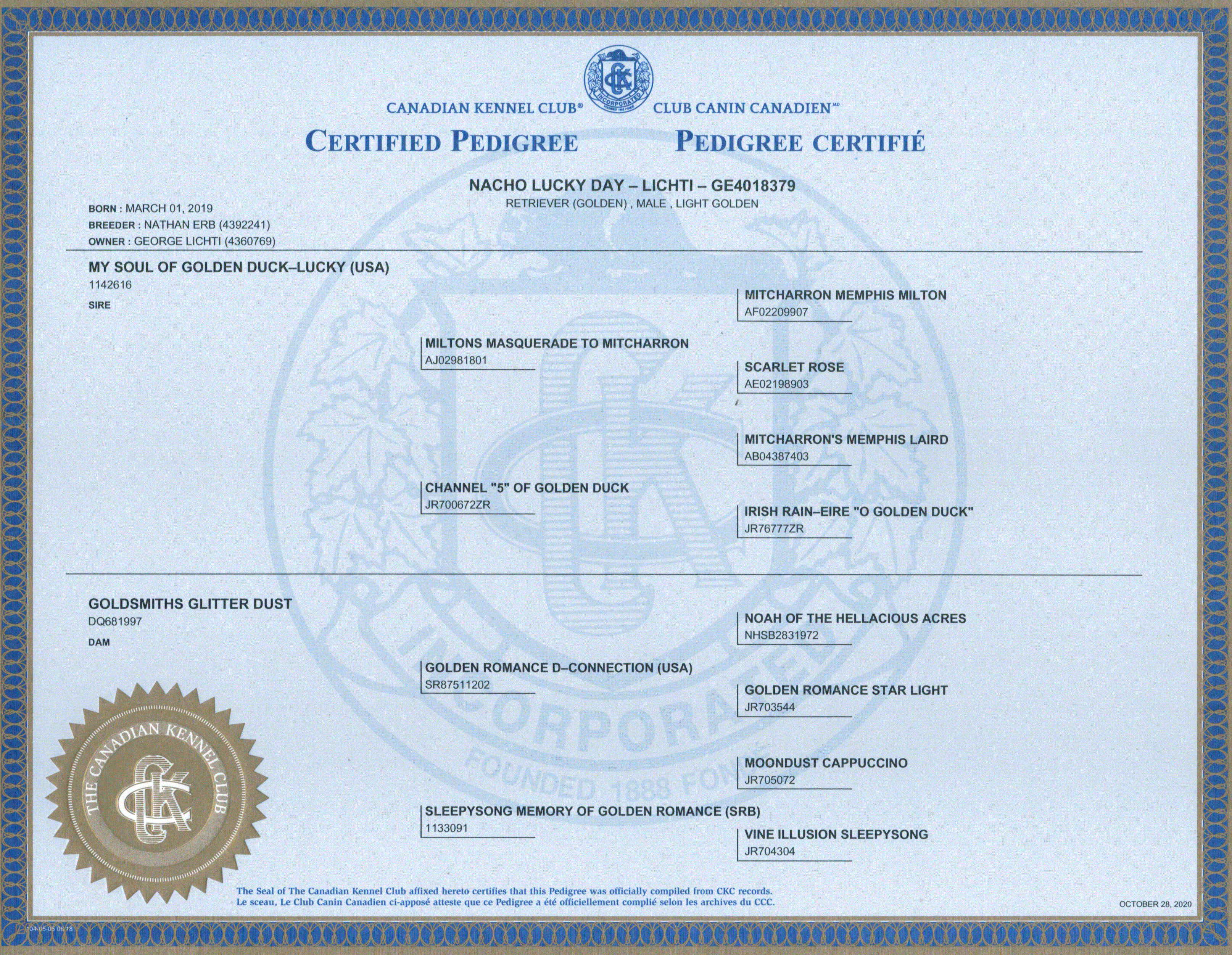 Canadian Kennel Club registration for dog owned  by Golden Country Tails kennel Alberta
