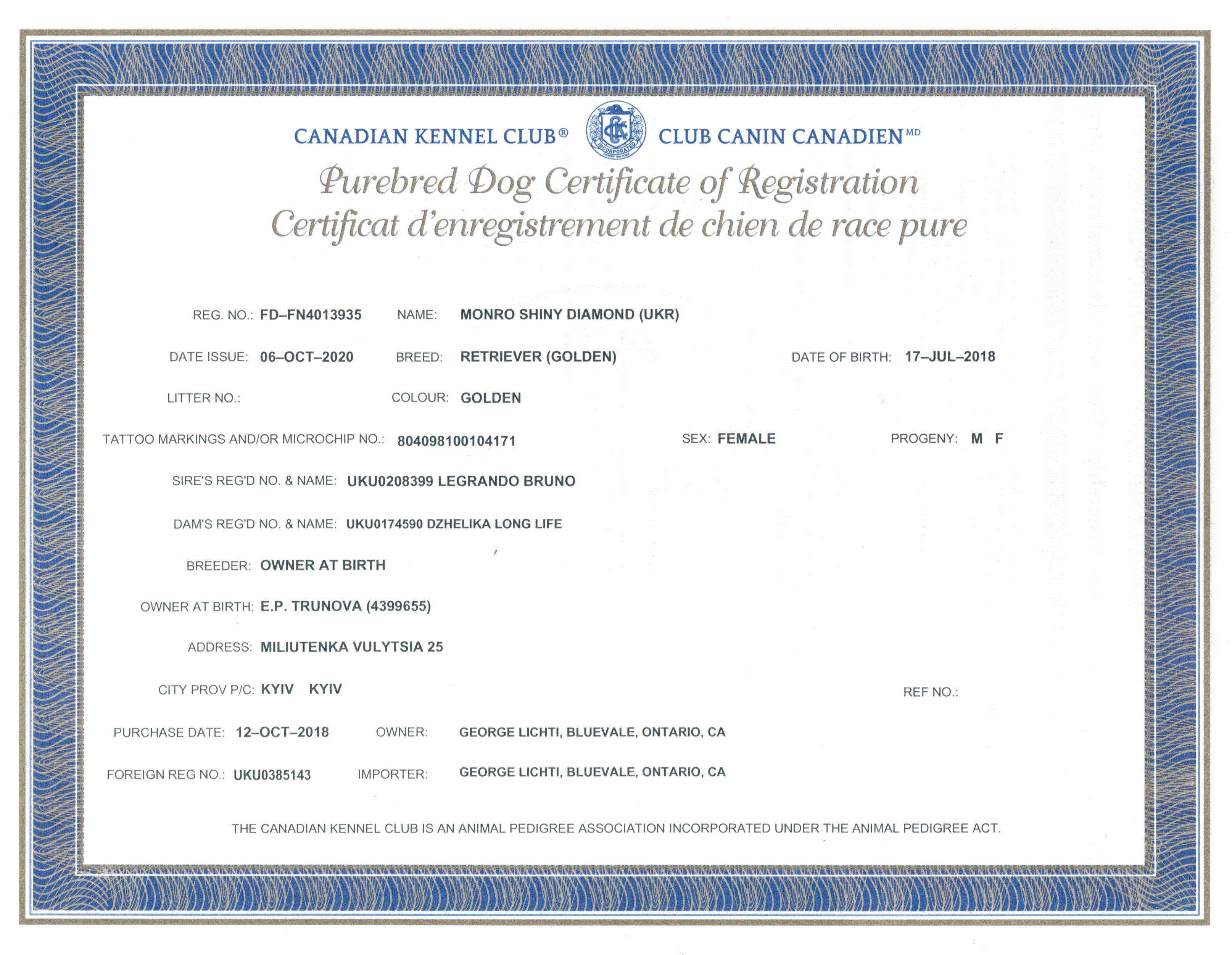 Canadian Kennel Club certificate for Melanie, an English Golden Retriever owned by Golden Country Tails kennel by Edmonton Alberta