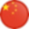 flag-button-round-250 (1).png
