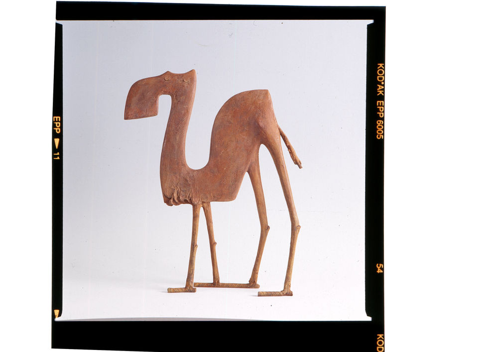 Camel